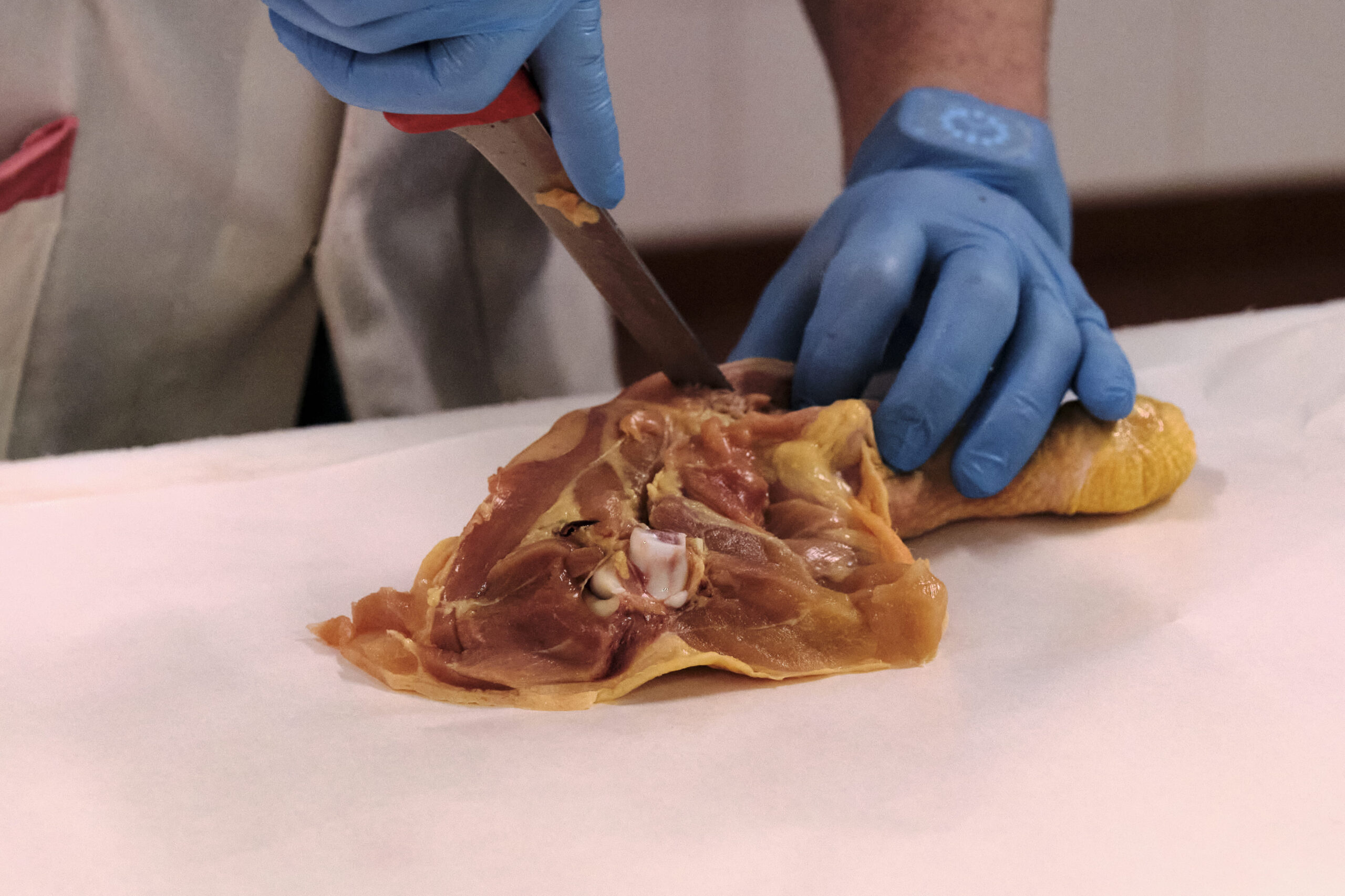 La nostra carne-le tipologie di carne AGRITURISMO - Cerimonie